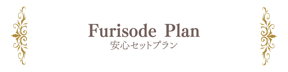 安心セットプラン