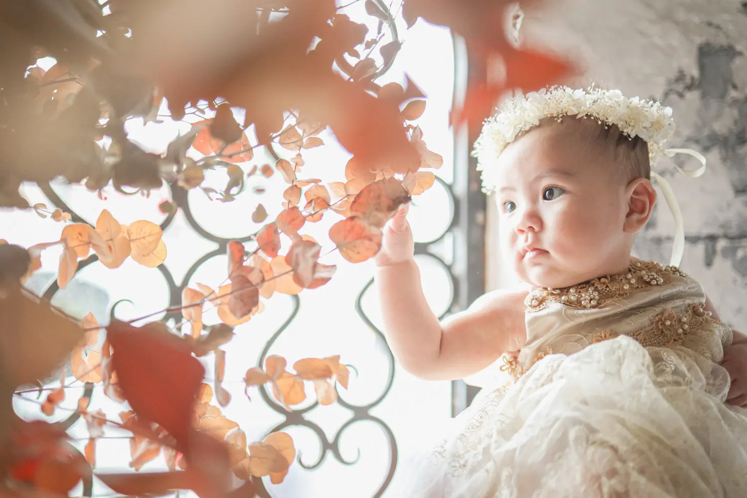 ハーフバースデーフォトプラン ｜ アケボノスタジオ松山店