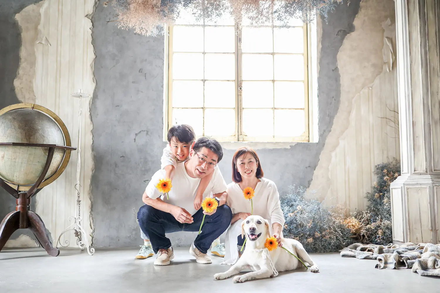 ペットフォトプラン ｜ アケボノスタジオ高知店