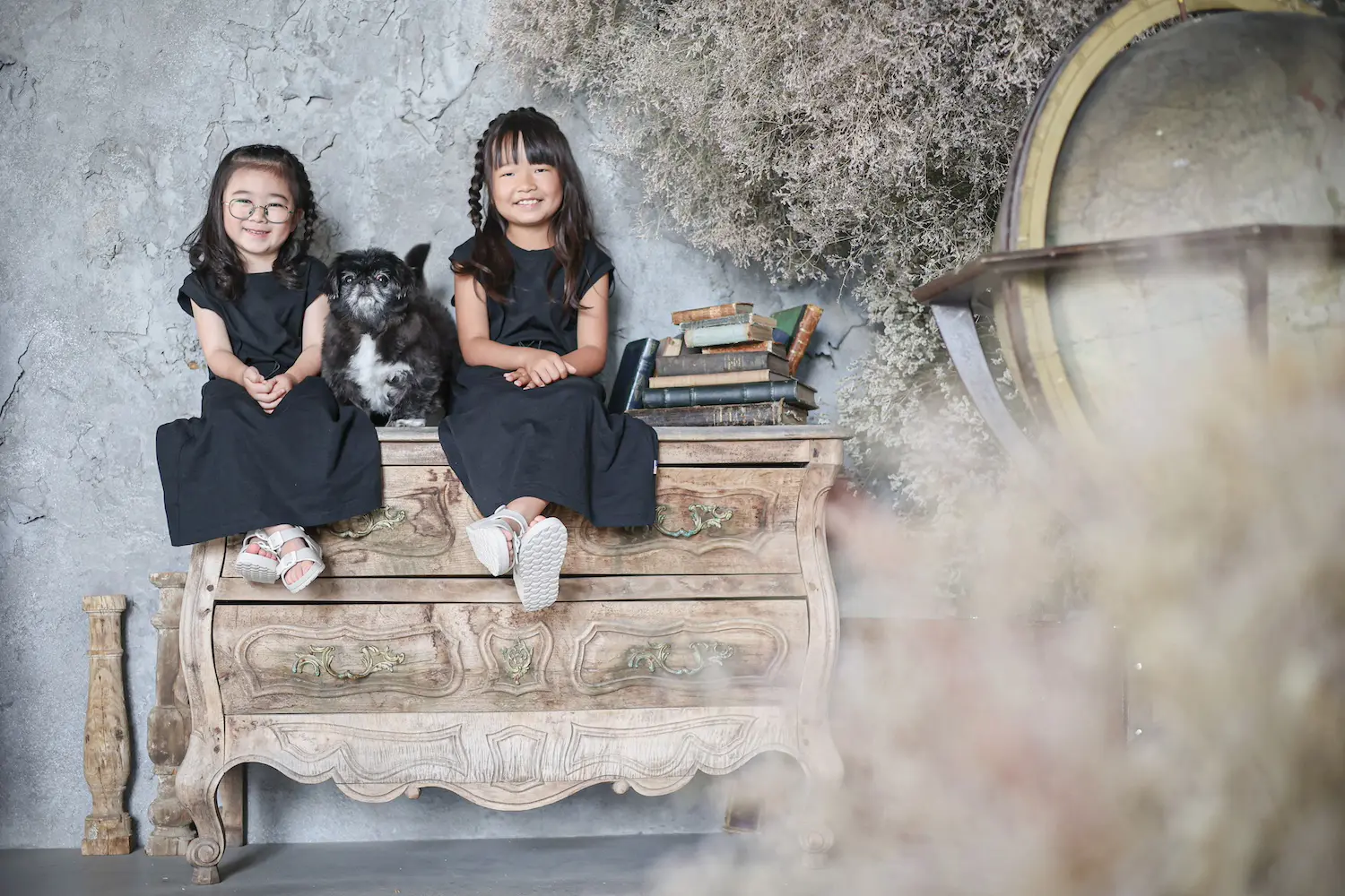 ペットフォトプラン ｜ アケボノスタジオ高知店